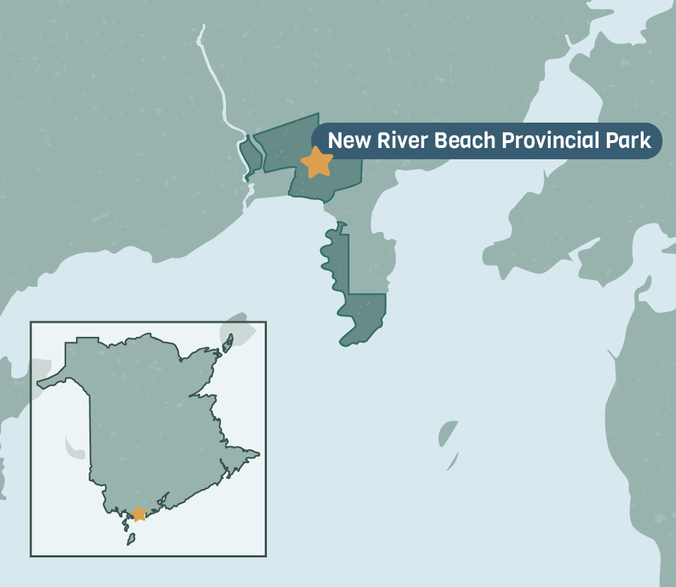 New river beach provincial park